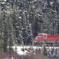 Le train rouge dans la neige
