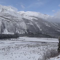 Sur l'Icefield Parkway