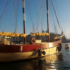 Goélette port de Toulon