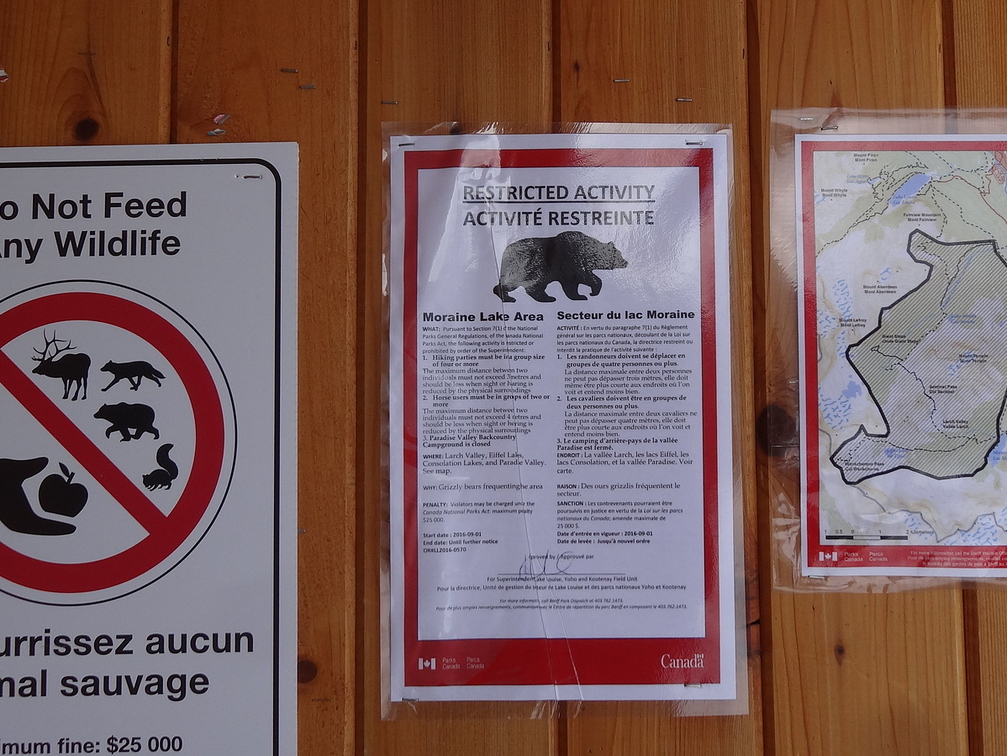 Affichage "ours"au lac Moraine