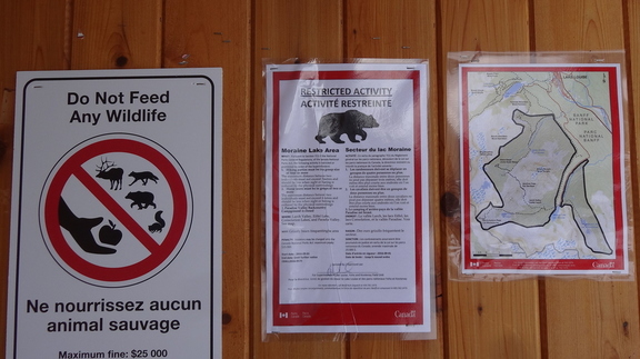 Affichage "ours"au lac Moraine