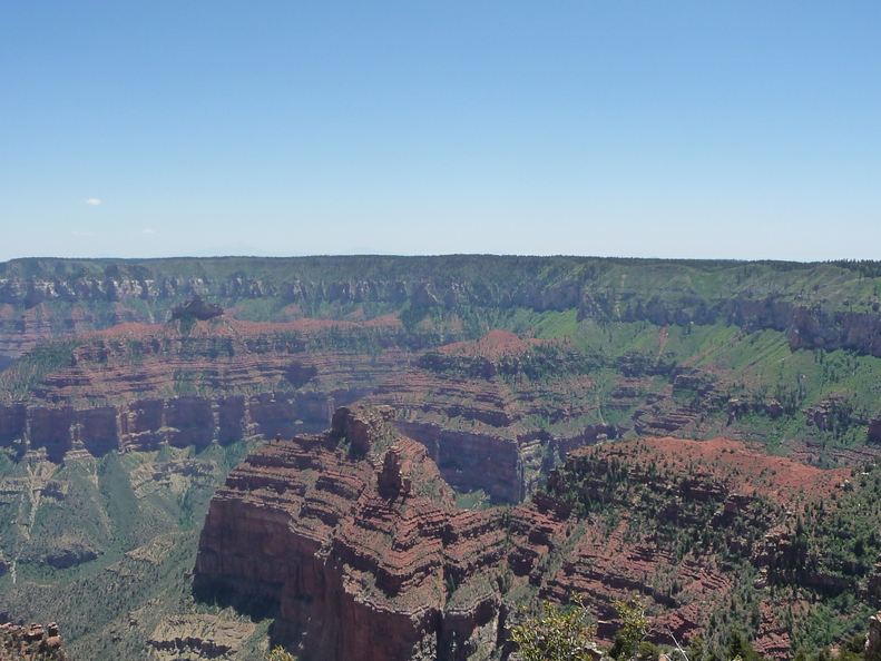 grand-canyon-north-rim-19mai2012-137