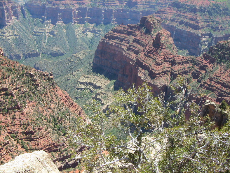 grand-canyon-north-rim-19mai2012-051